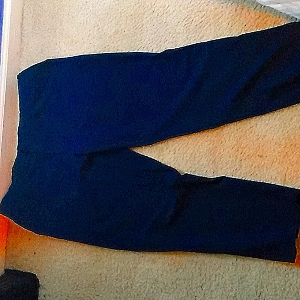 Dress pants